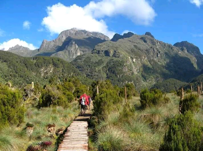 Rwenzori Mountains National Park